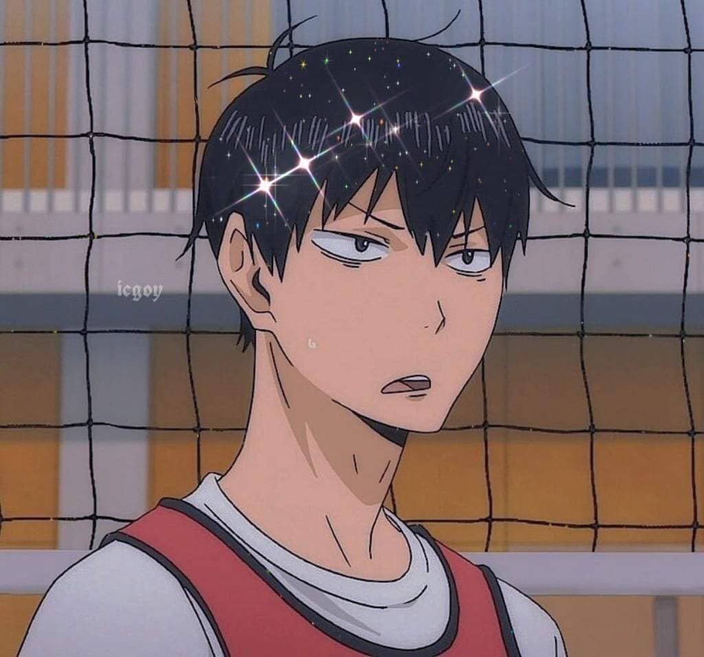 Хината шоё волейбол