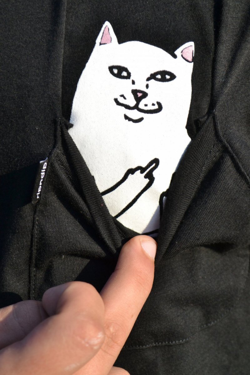 Кот в наушниках за компьютером