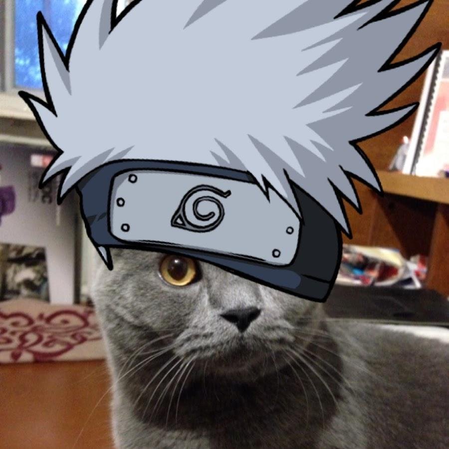 Кот в костюме