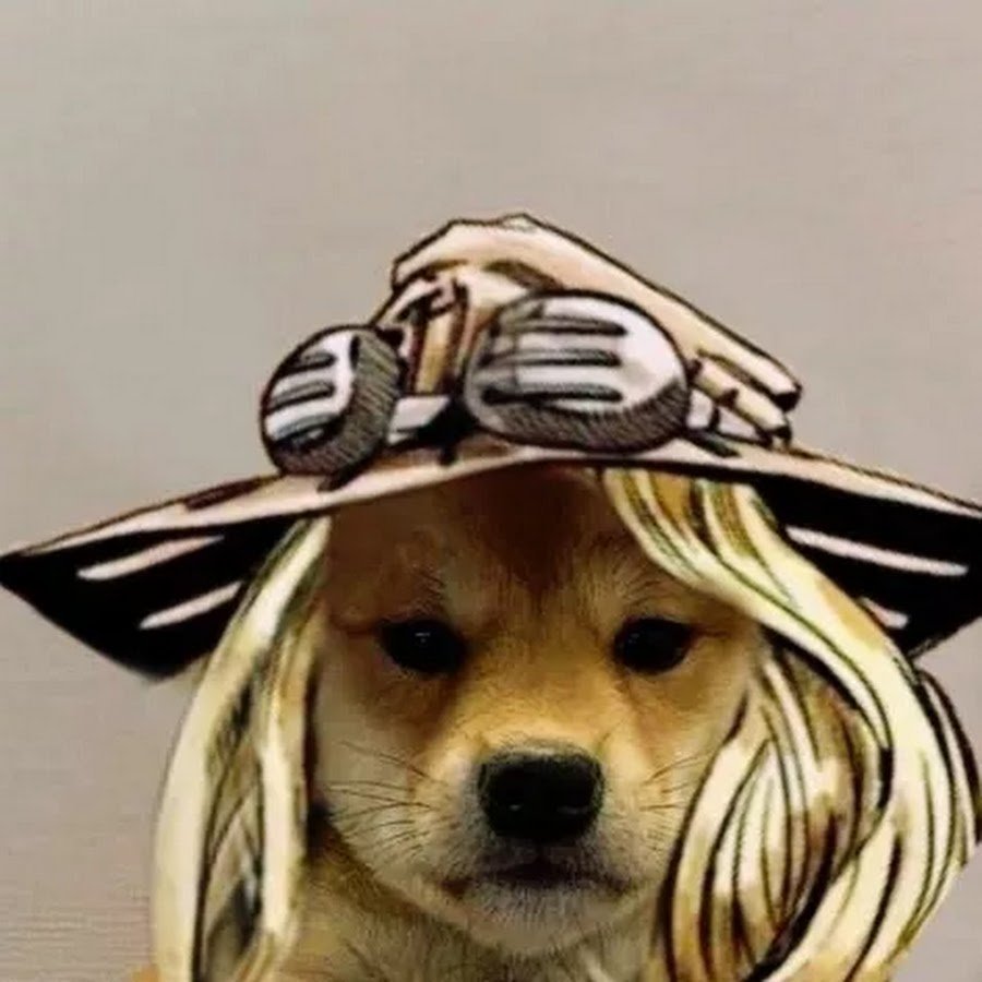 Велошлем для собаки