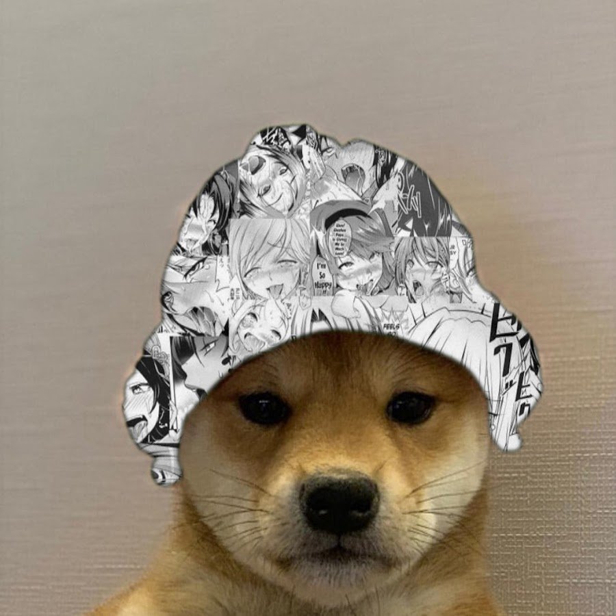 Джо Джо собачка