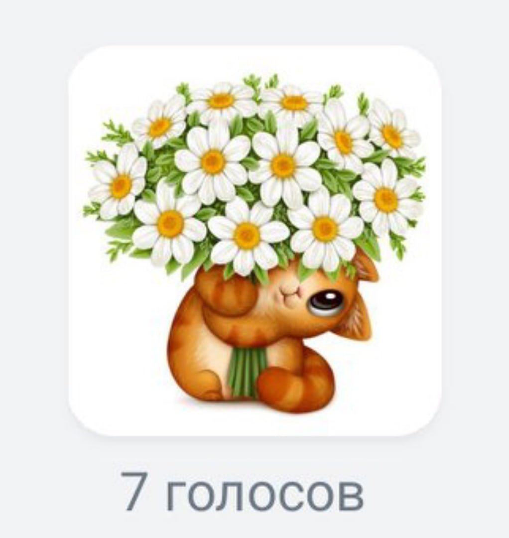 Букет ромашек в руках