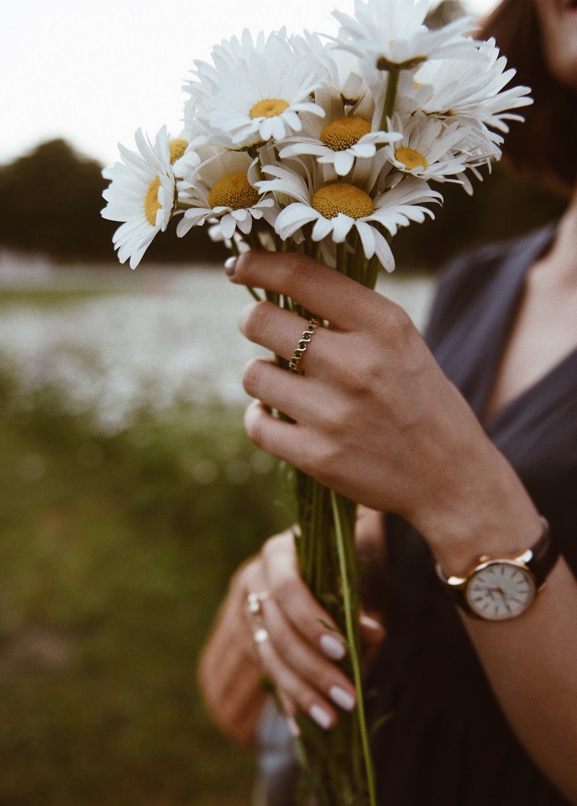 Букетик ромашек в руке