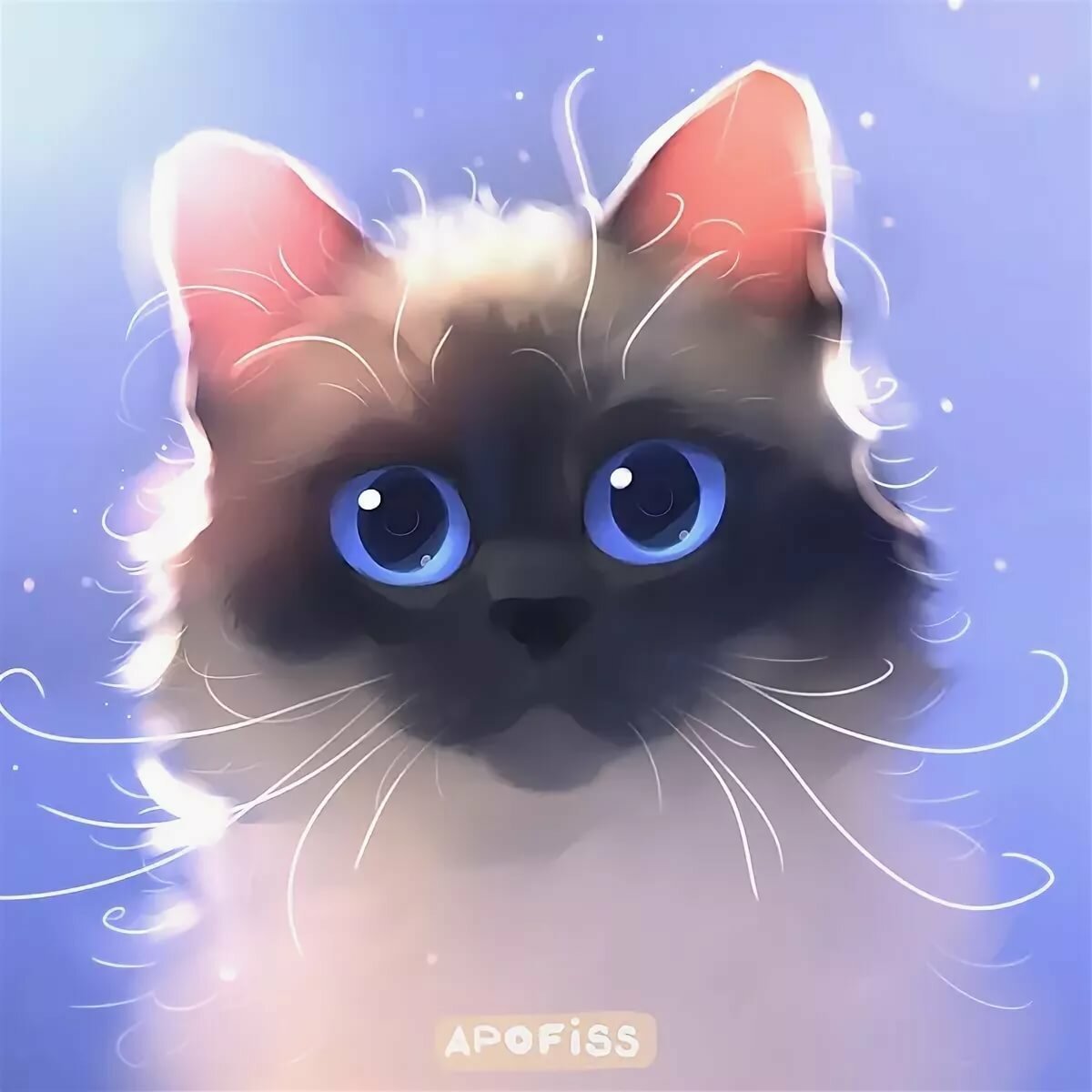 Новогодние котята