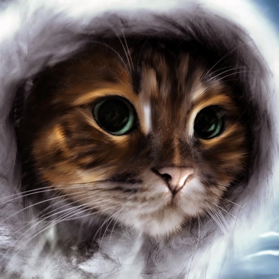 Милые котики в шапочках