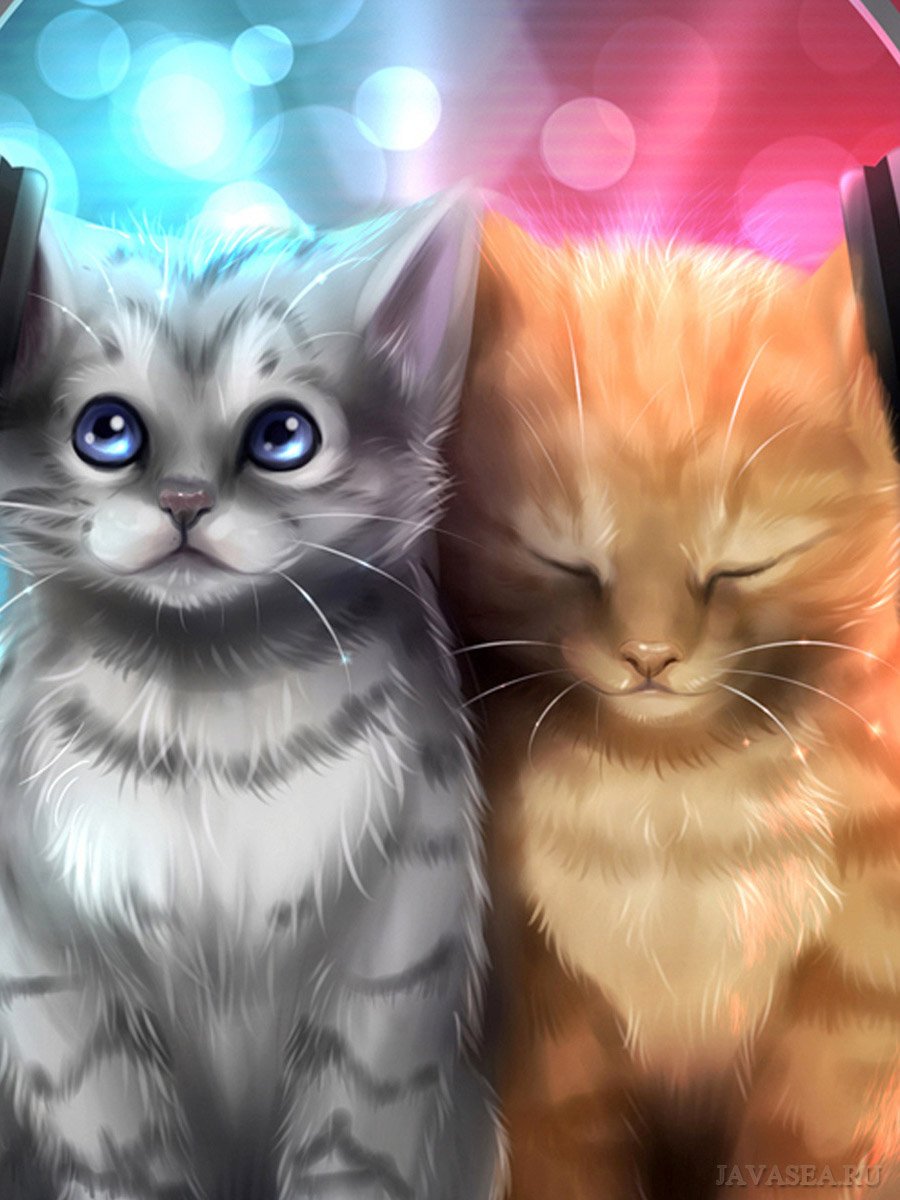 Шарф кот чёрный