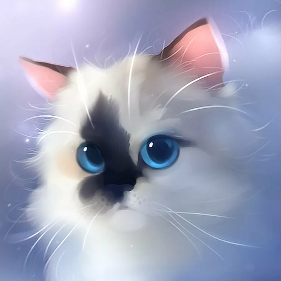 Милый котик на аватарку