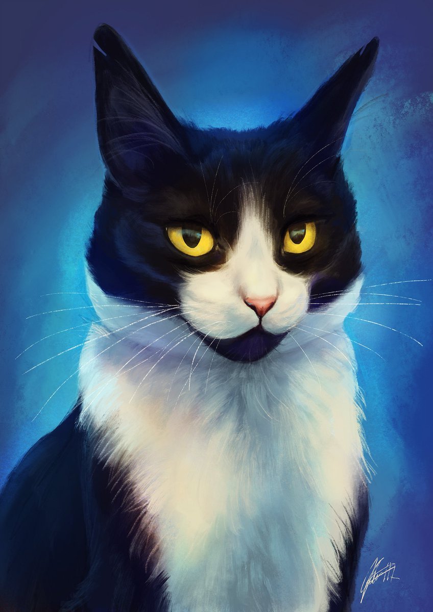 Аватарки с котиками