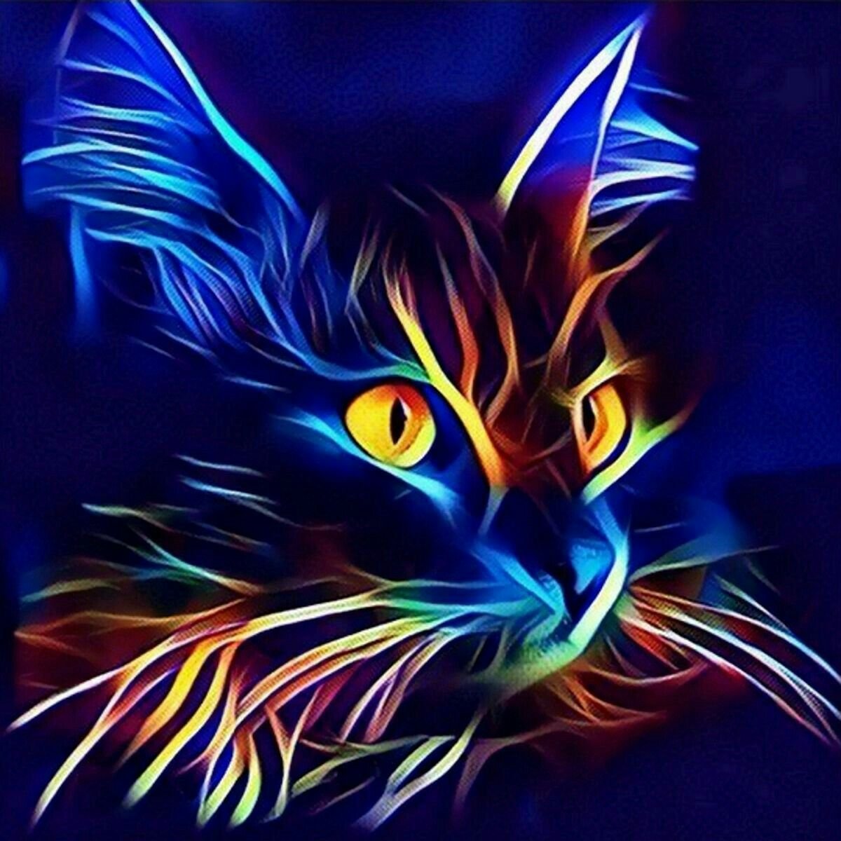 Коты Воители чёрная кошка с голубыми глазами