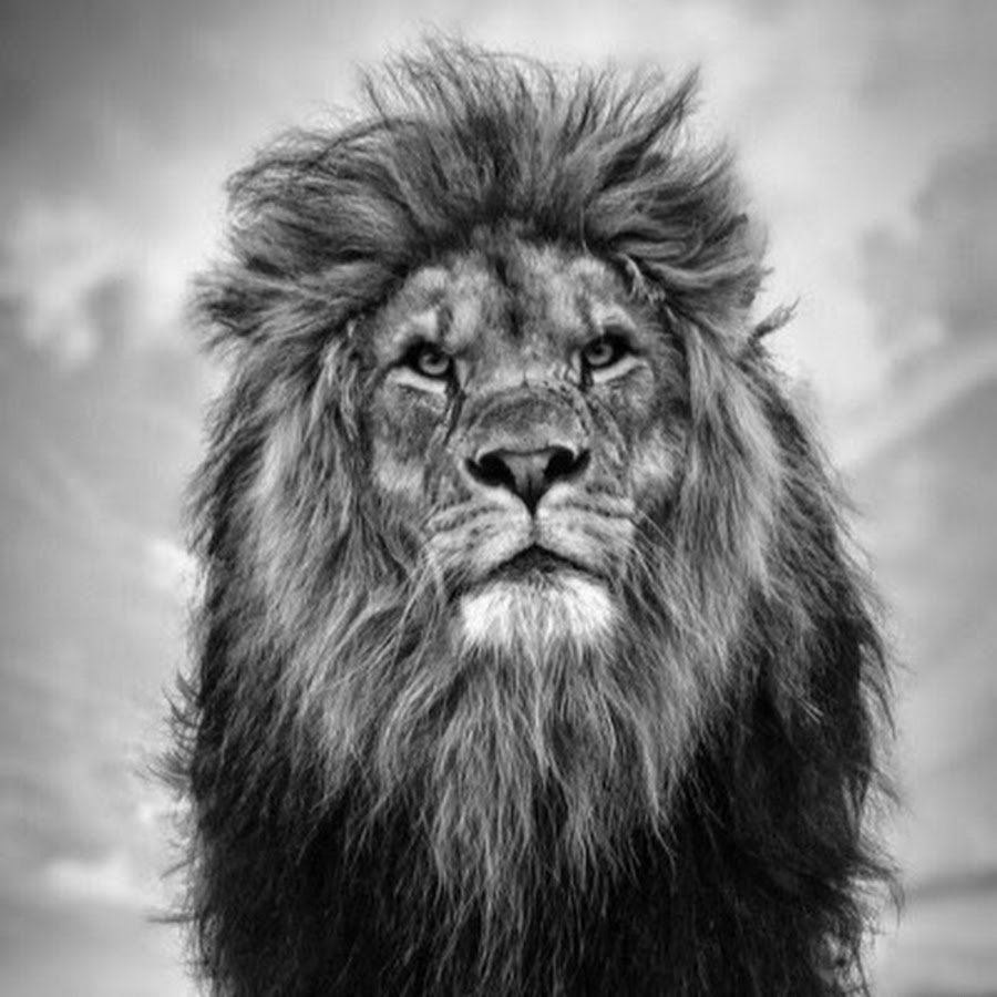 Фотосессия с короной на голове