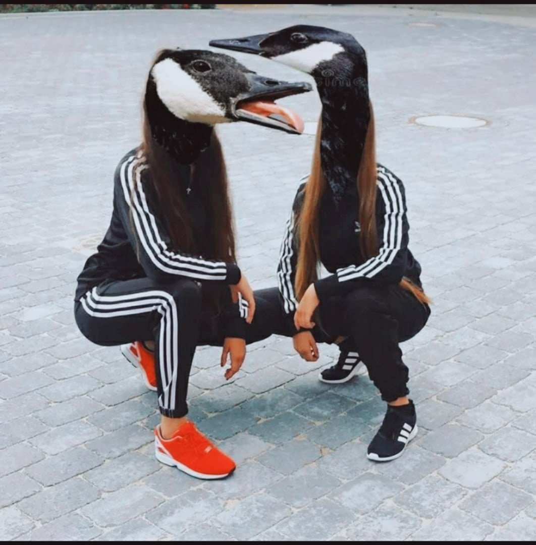 Смешные парные аватарки