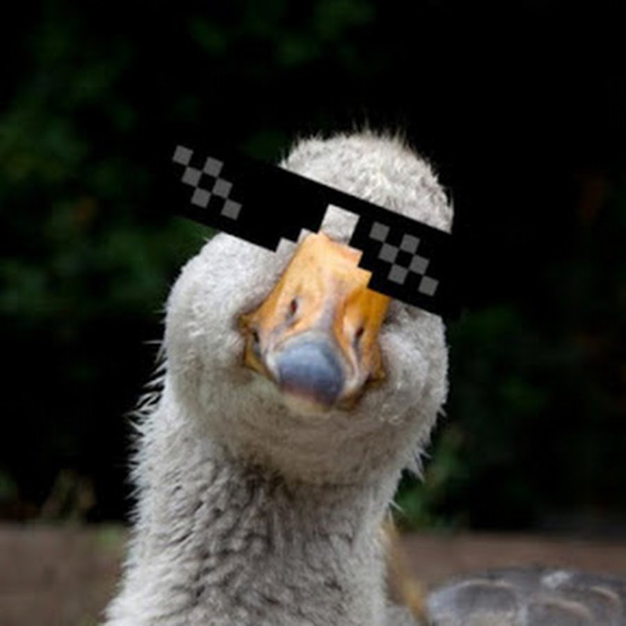 Крутой Гусь