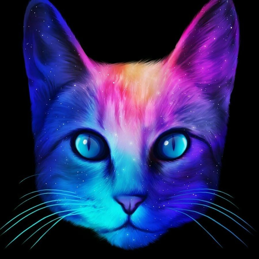 Аватарки для профиля коты