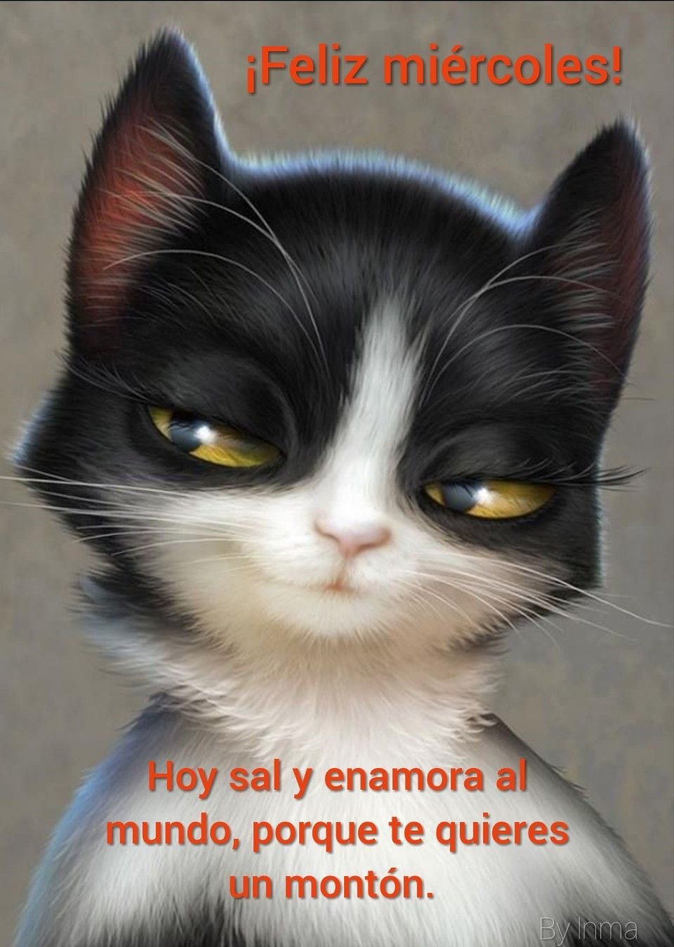 Лунные кошки