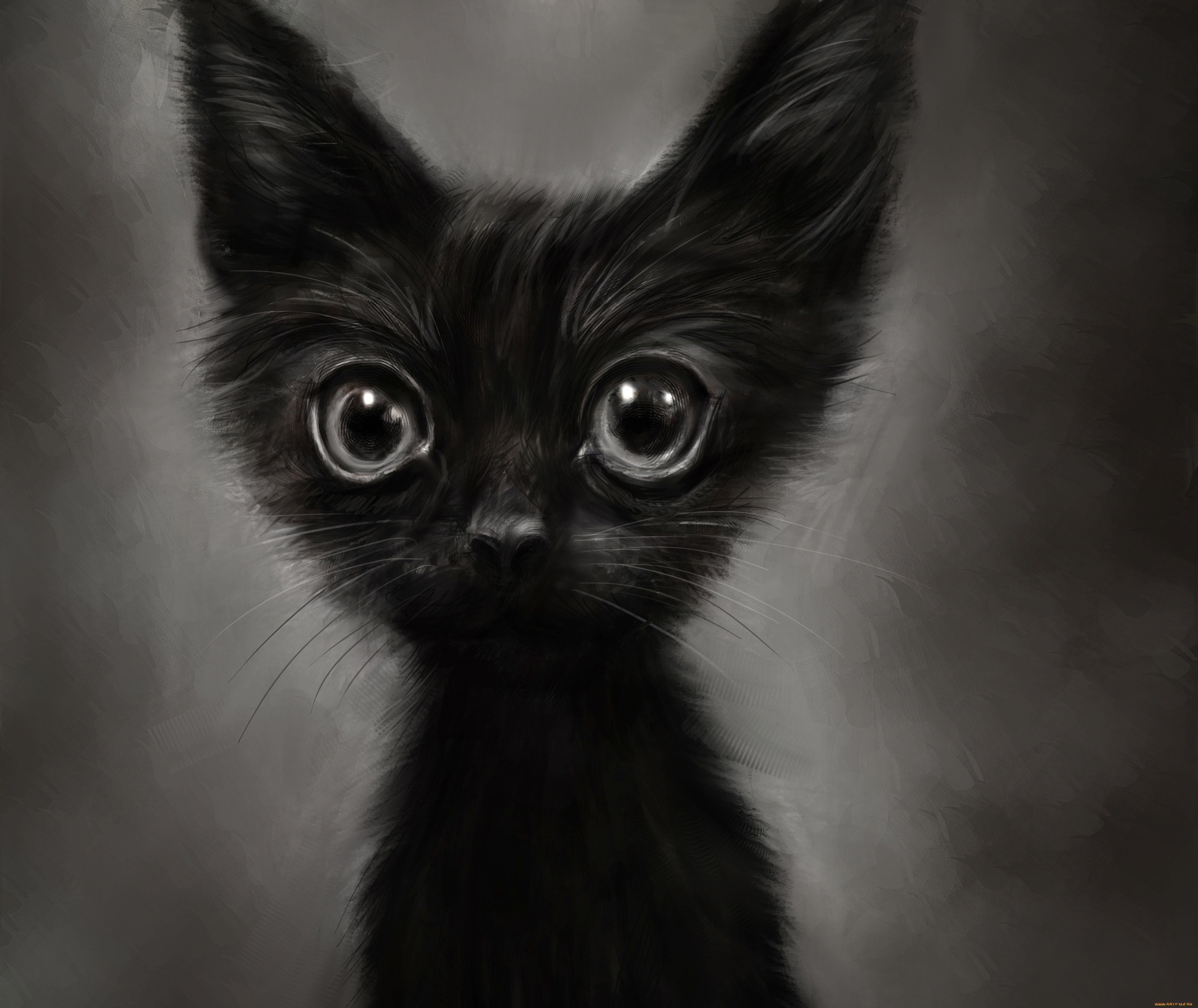 Аватарка кошечка. Чёрный кот. Черный котенок. Кошечка черная. Черный кот на аву.
