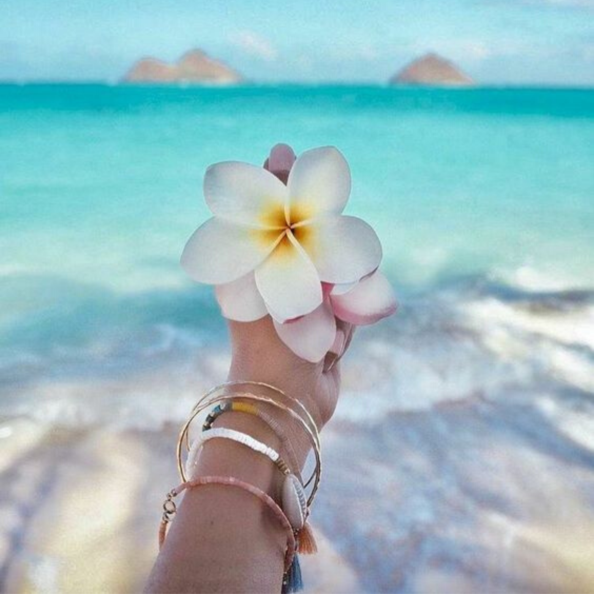 Вацап морской. Цветы и море. Цветочек на фоне моря. Море пляж цветы. Нежные цветы и море.