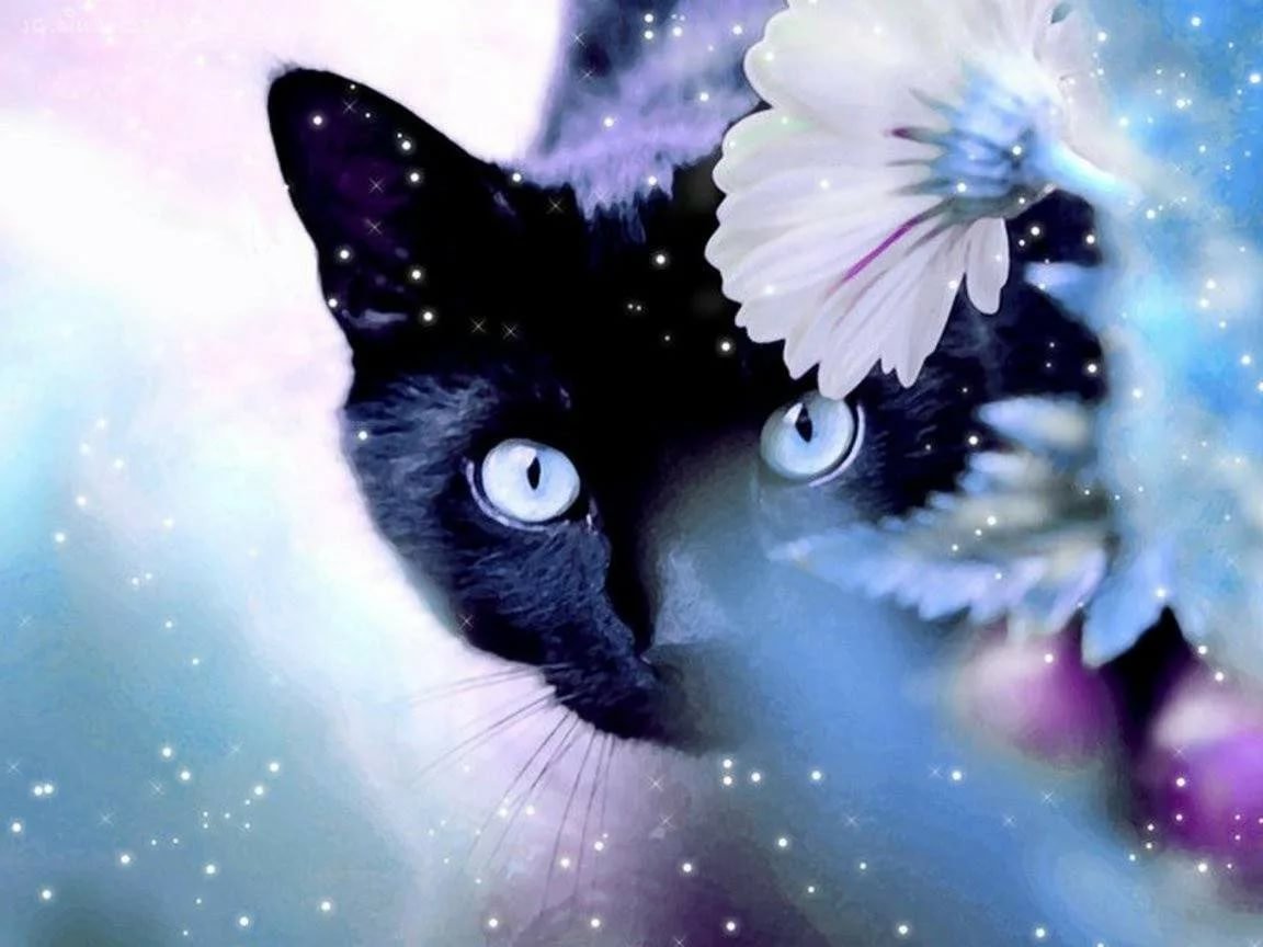 Мультяшные девушки