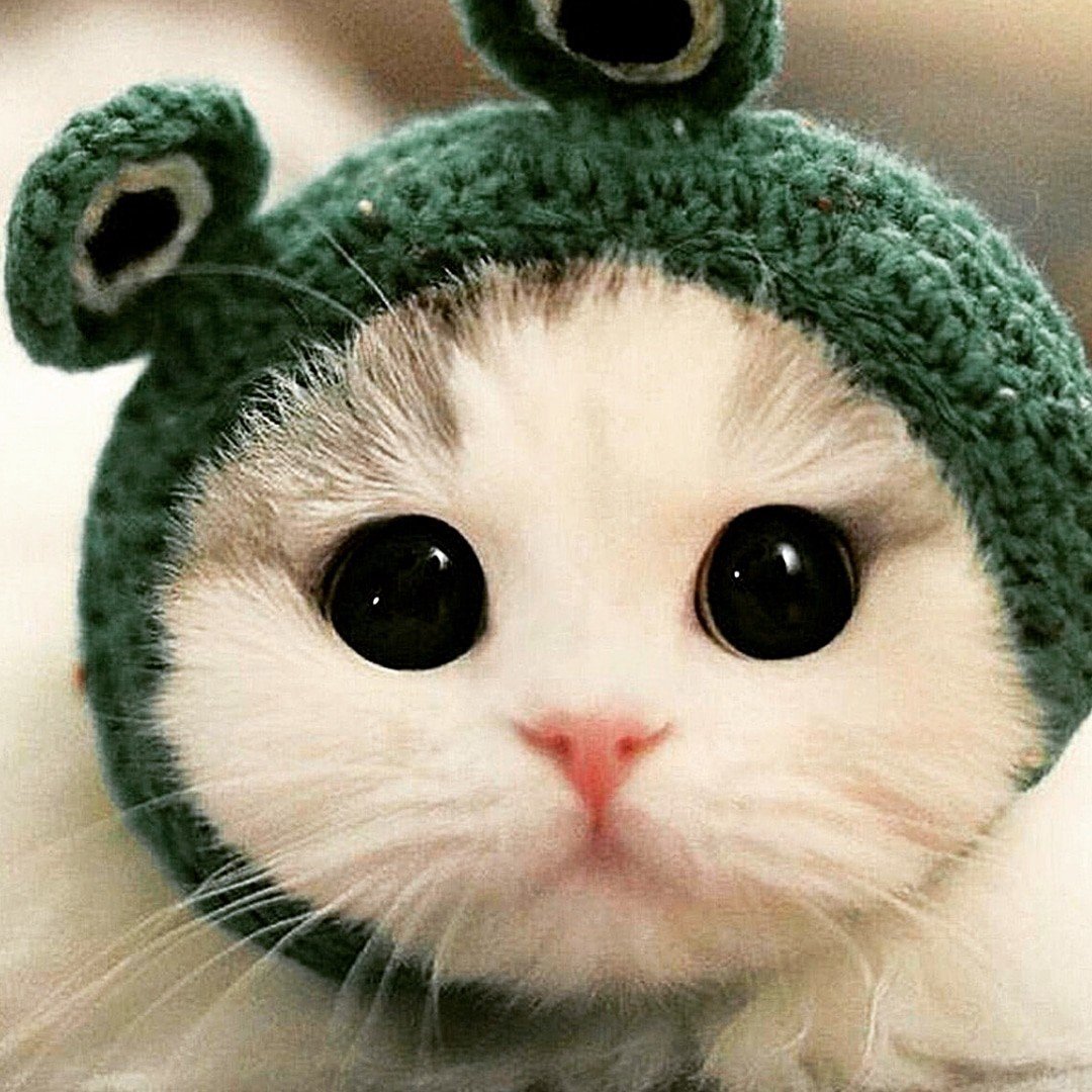 Пустая аватарка в ватсапе