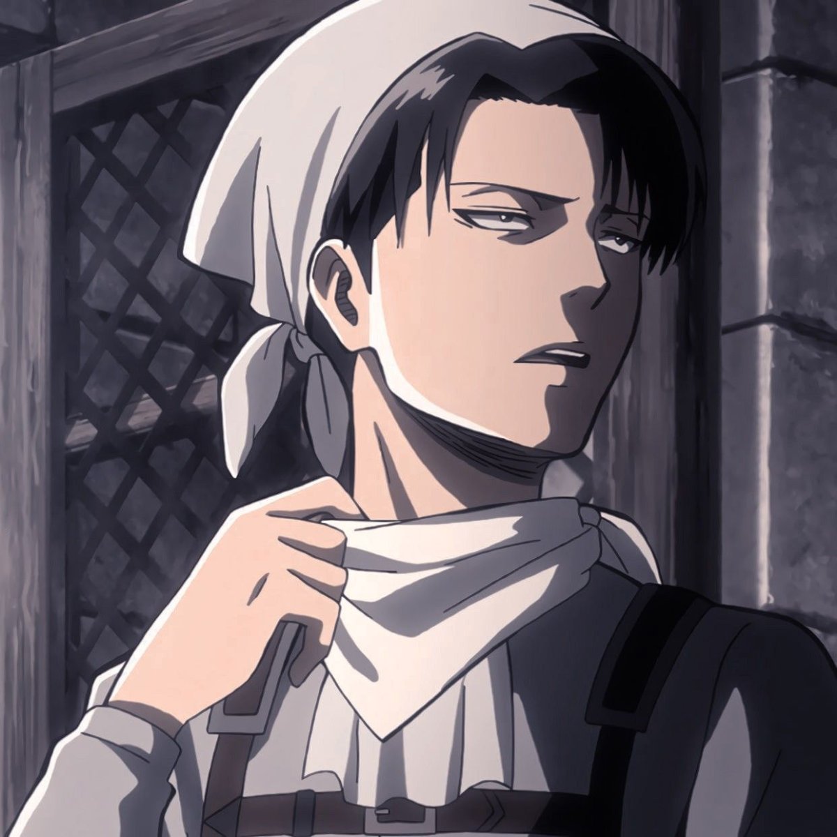 Леви Аккерман уборка