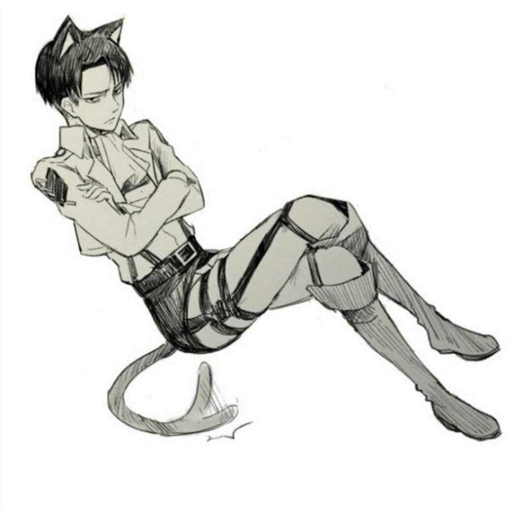 Леви Аккерман чб в полный рост