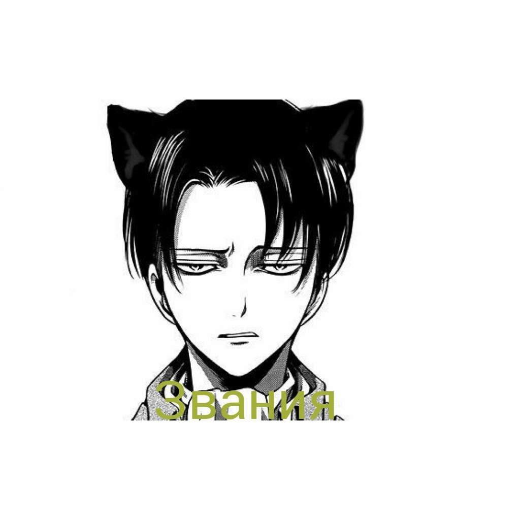 Леви аккерман ава