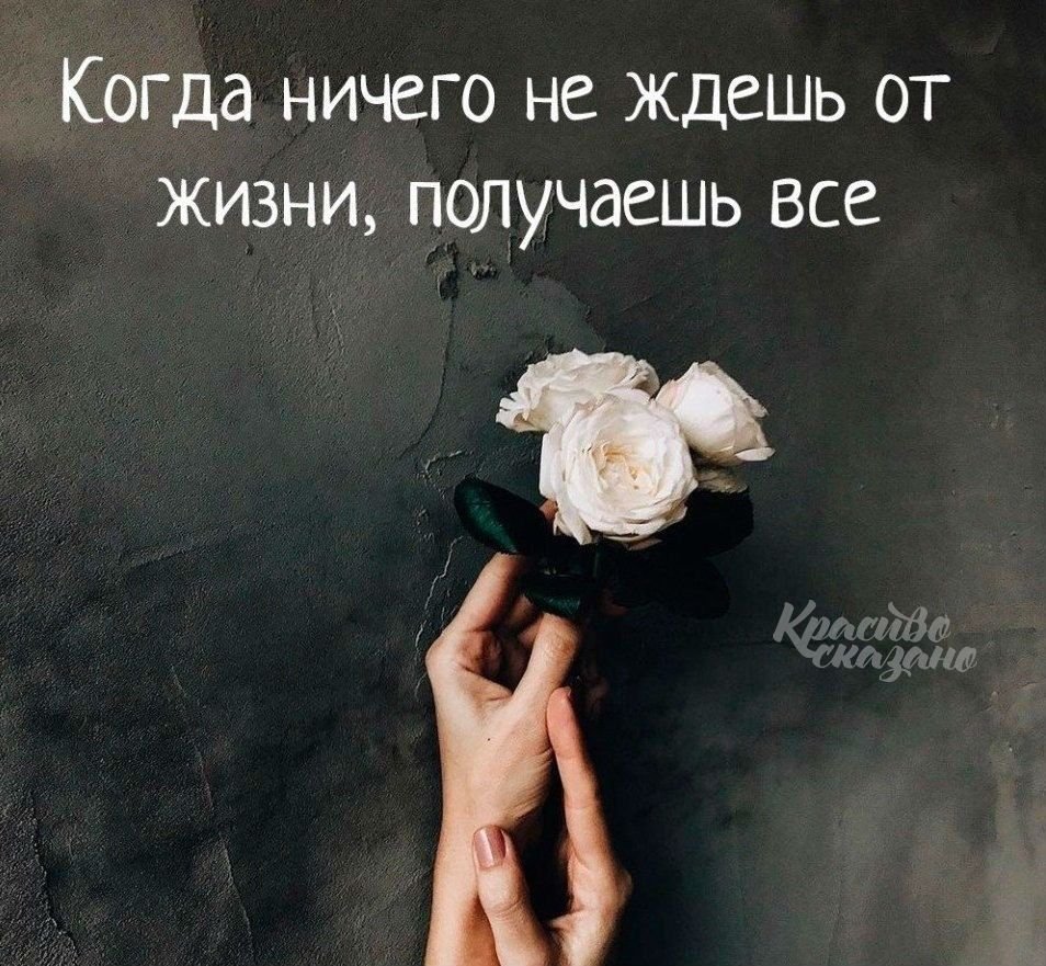 Лев не дёргаться