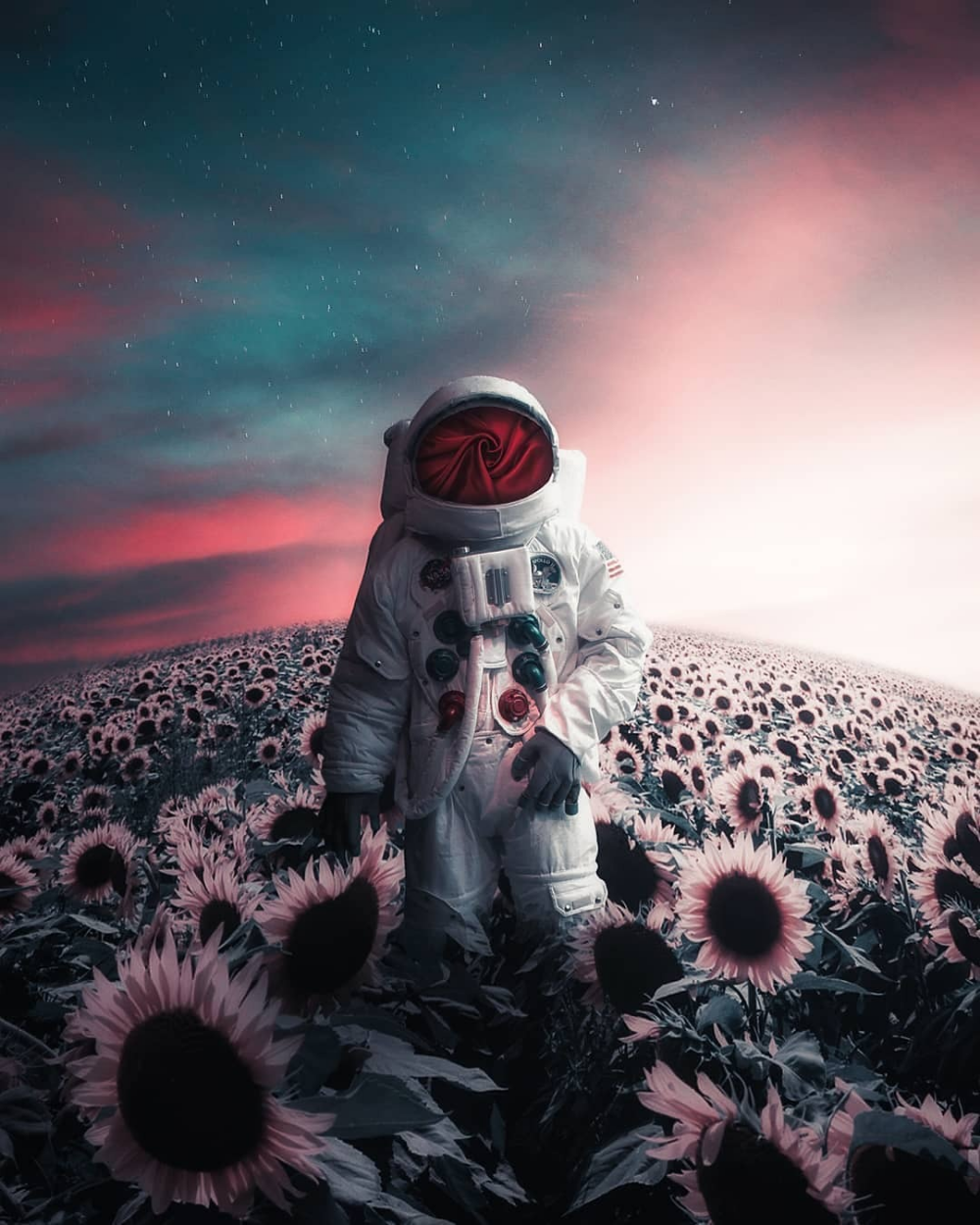 Кот в космосе