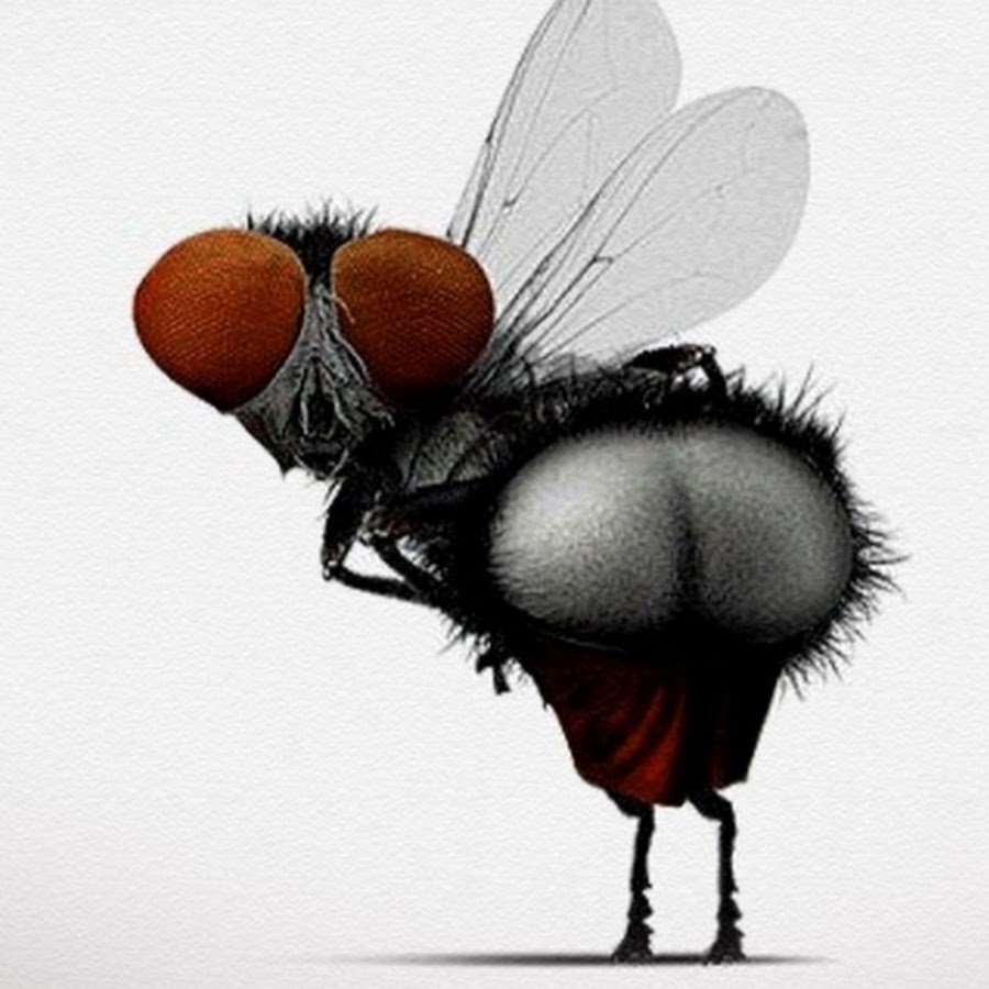 Аватарки со смыслом