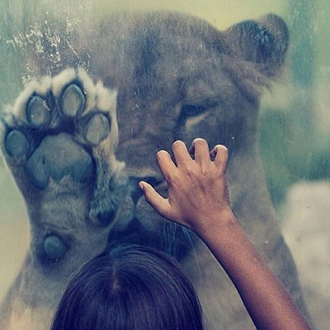 Картинки на аву для девушек со словами