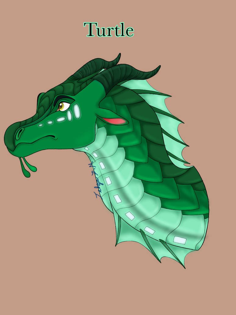 Драконья сага кинкажу арт