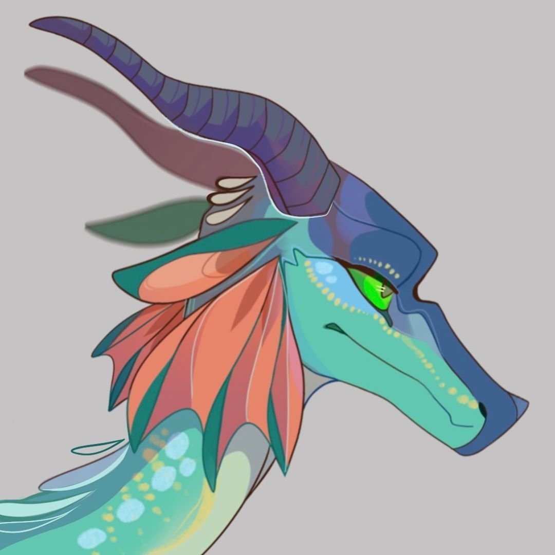 Драконья сага вьюга