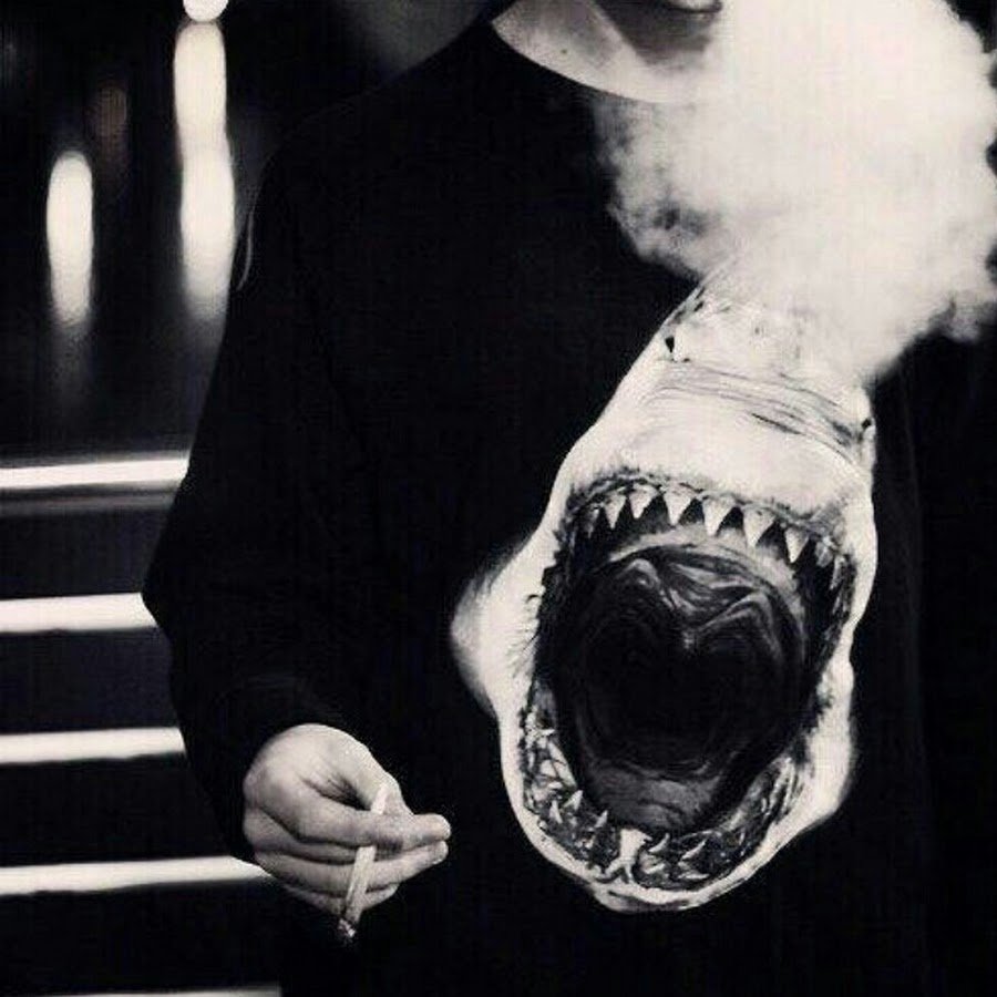 Суета на аву