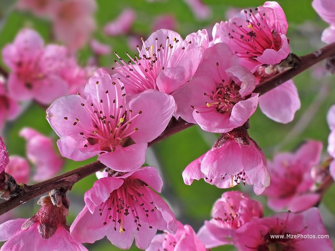 Именные подвески