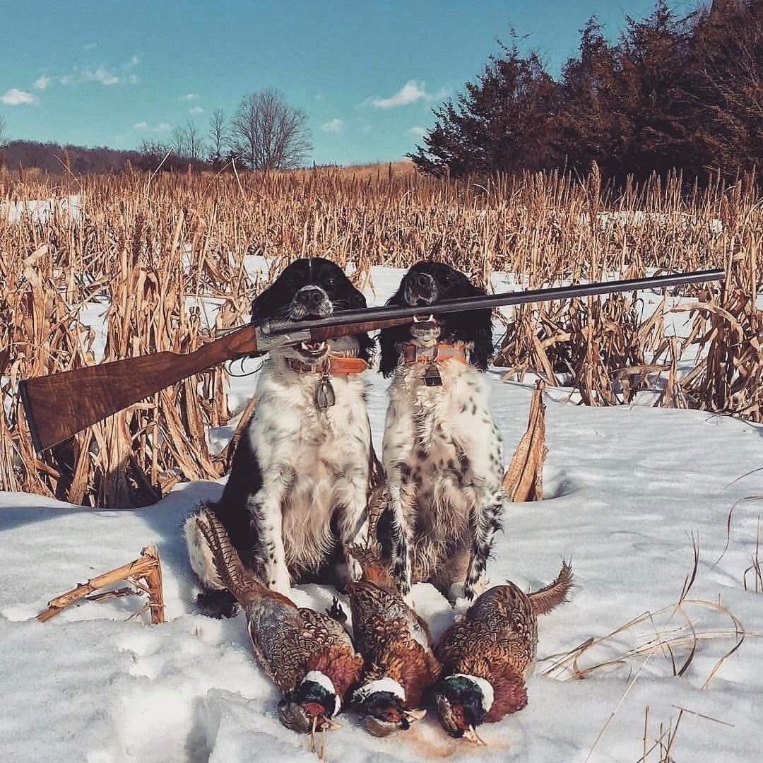 Охотник в лесу