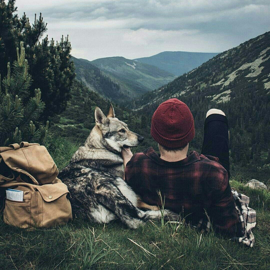 Ружье и удочка