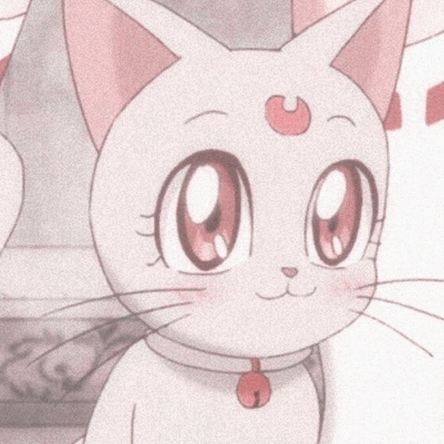 Котик в наушниках