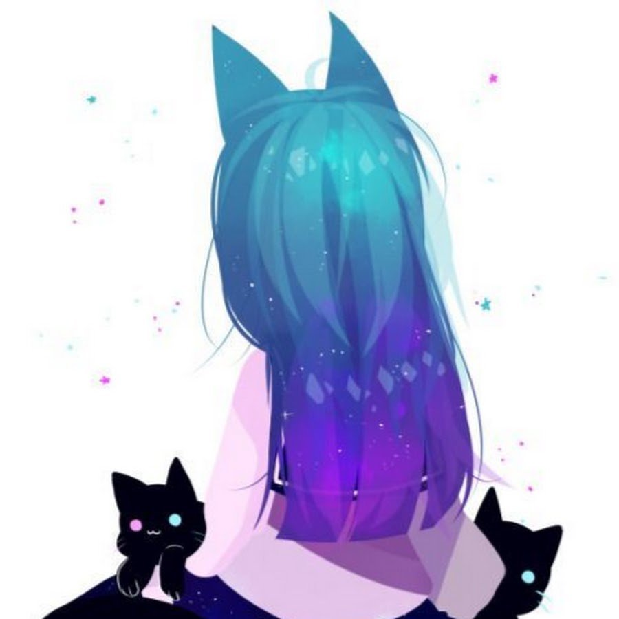 Коты Инь Янь