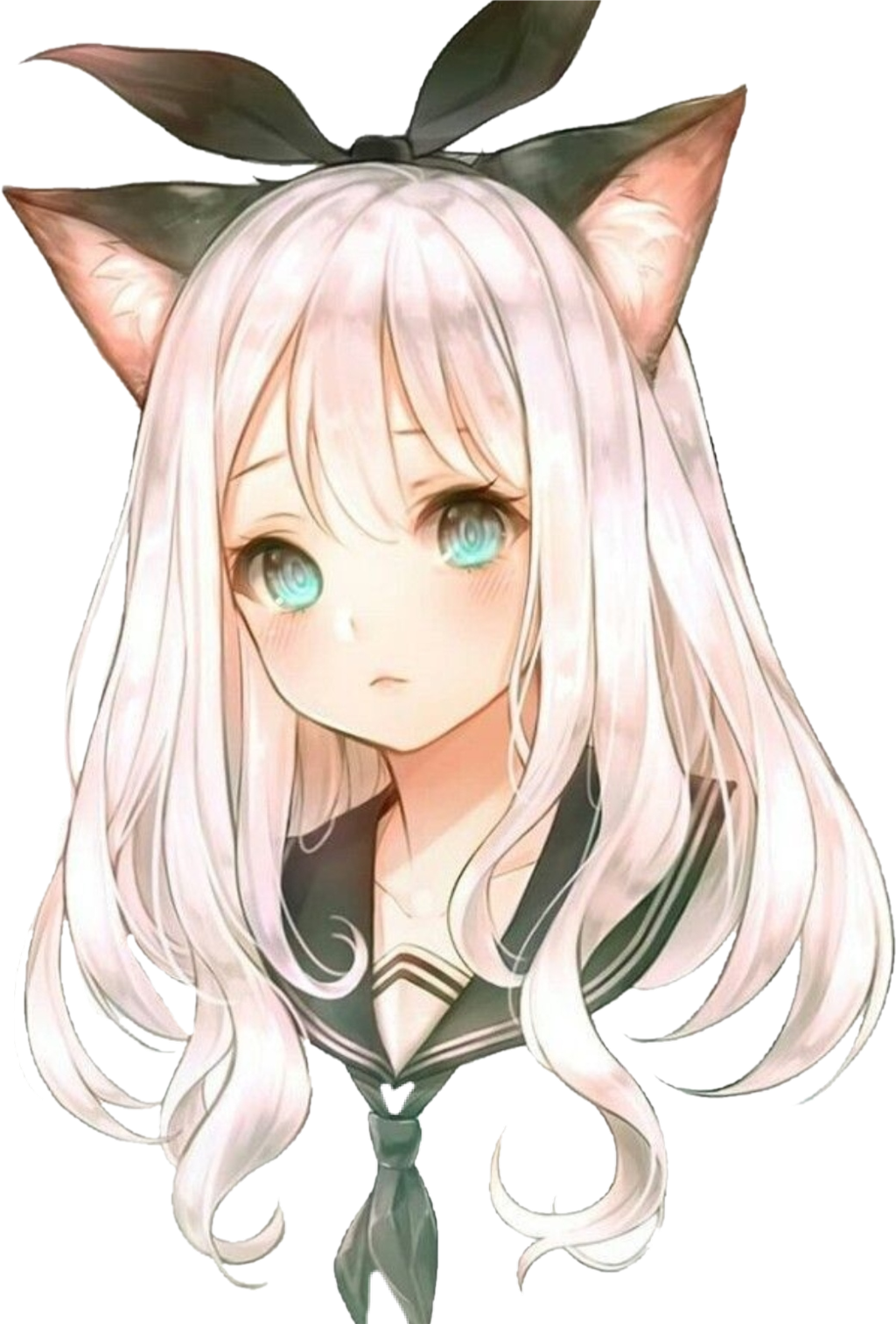 Арт коты Воители Cats.Warrior