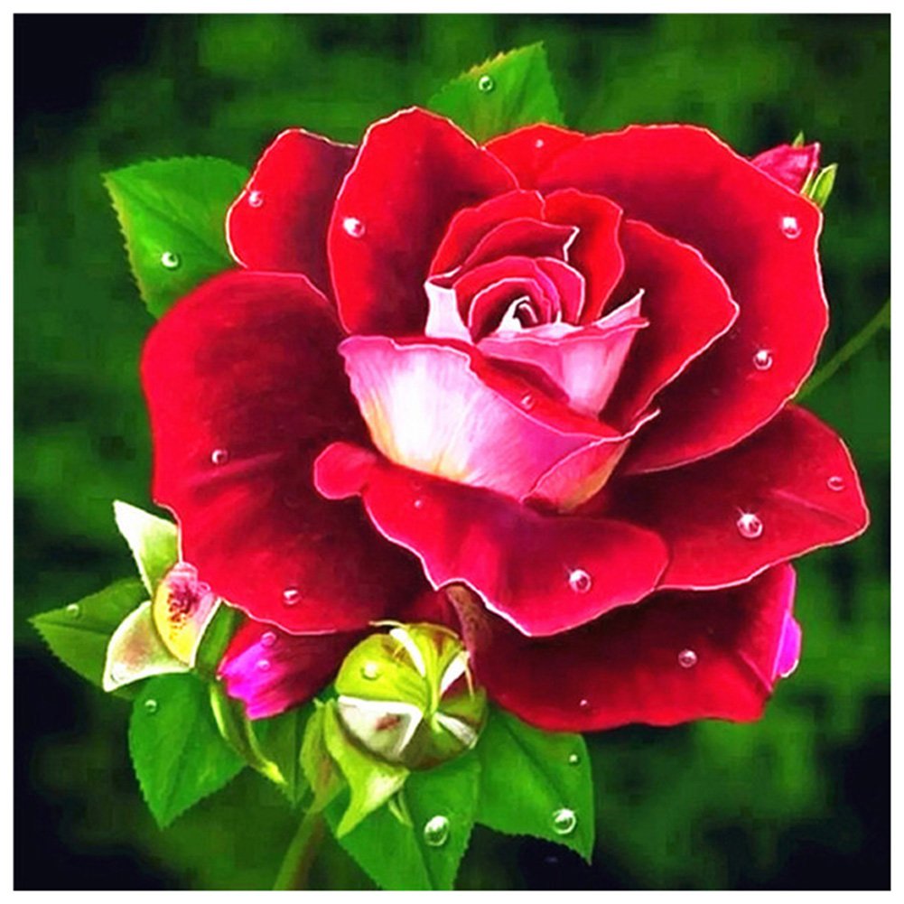 Красивые цветы на аватар