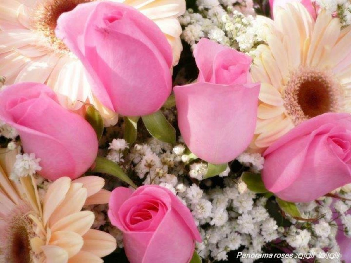 Девушка с розовыми волосами арт