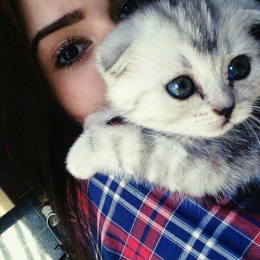 Аватар в лайк для девочки крутые