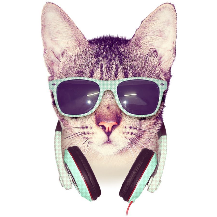 Кошка с наушниками
