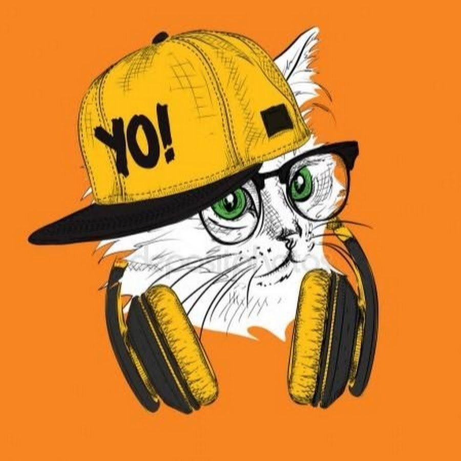 Кот в очках