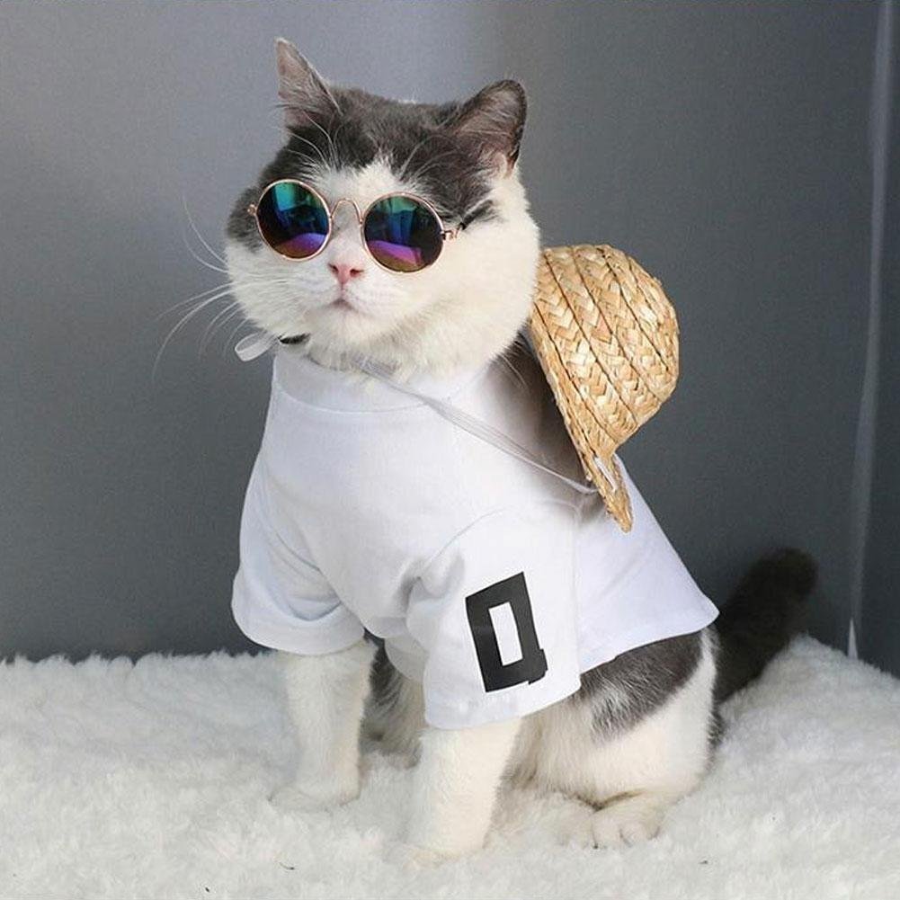 Черный кот в галстуке