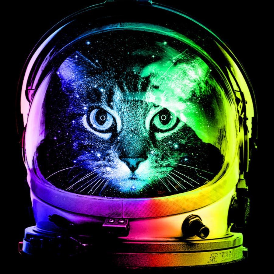 Прикольный кот на аватарку