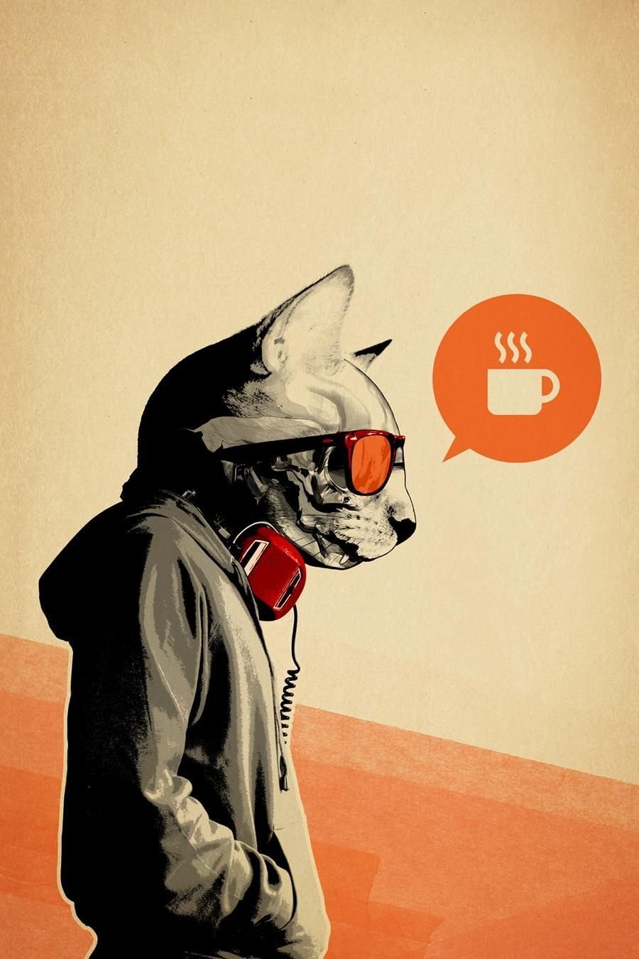 Аватарка кот