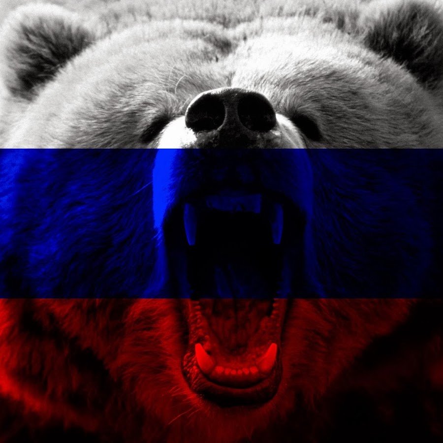 Российский флаг с медведем