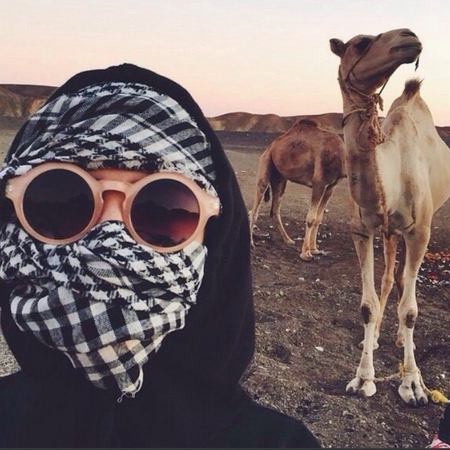 Шамиль Сулейманов ВК