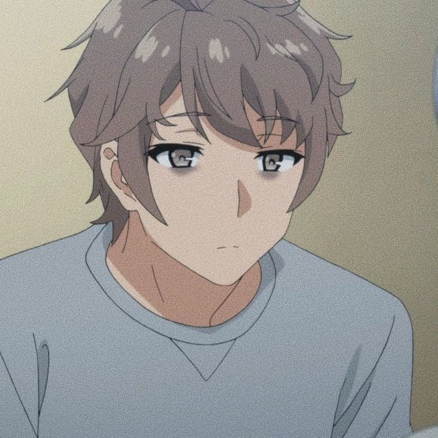 Сакута Адзусагава аниме