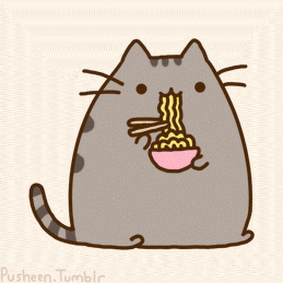 Пушин Кэт занимается спортом